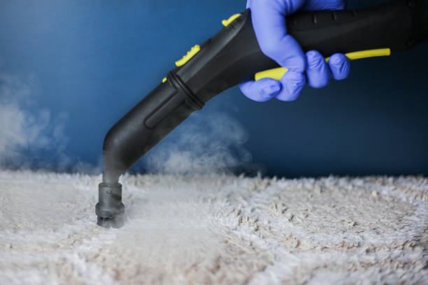 Professional cleaning and disinfection of a light-colored carpet.