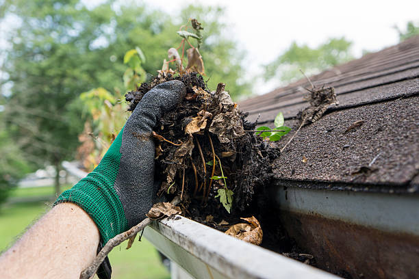 Cleaning gutters services in sydney