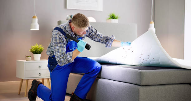 Bed Bug Infestation And Treatment Service