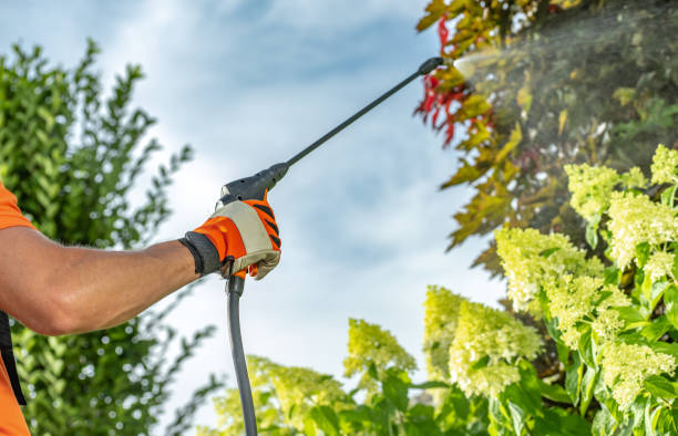 Professional Garden Worker Insecticide sprayer