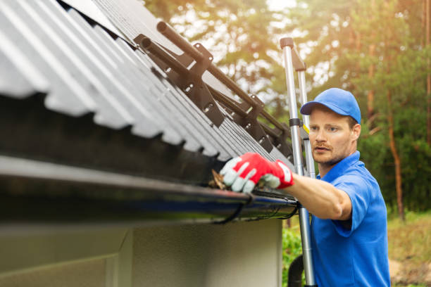 gutter cleaning services in Sydney