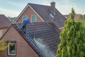 Roof Cleaning and Pressure Washing services in sydney