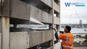 Professional pressure cleaning removing heavy mould from a Pyrmont commercial car park facade, with Sydney Harbour in the background.