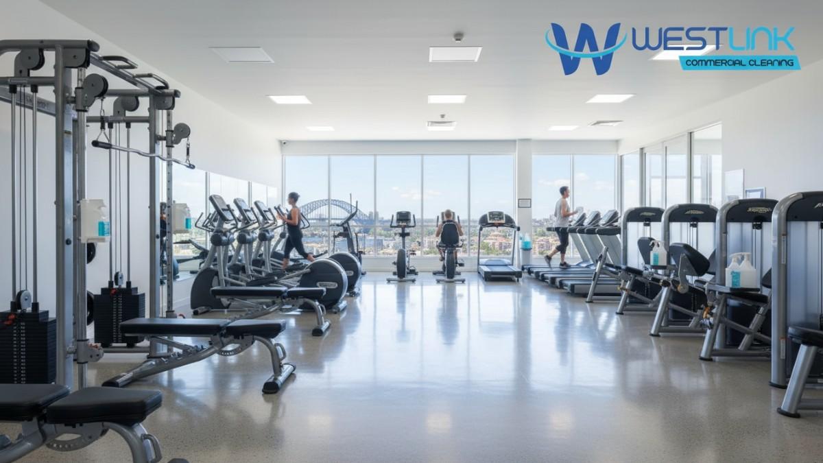 Modern commercial gym in Sydney, NSW with clean equipment, large windows, and hygiene stations, promoting a hygienic fitness environment.