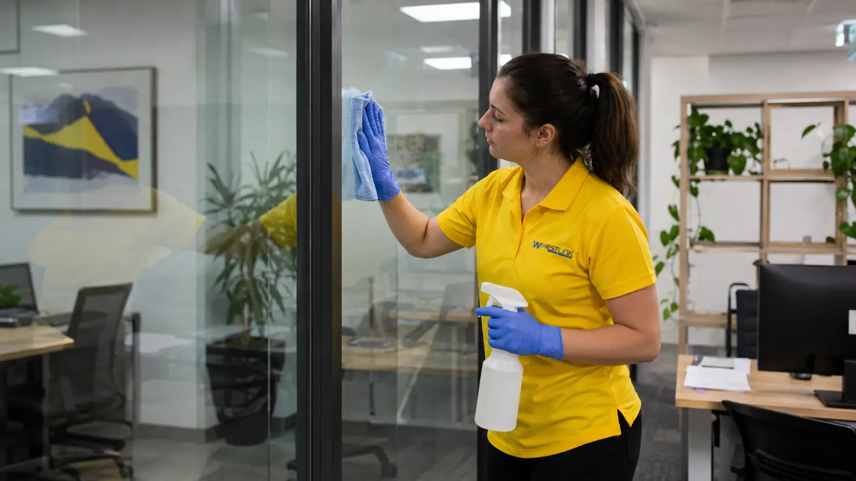 Internal Glass Cleaning