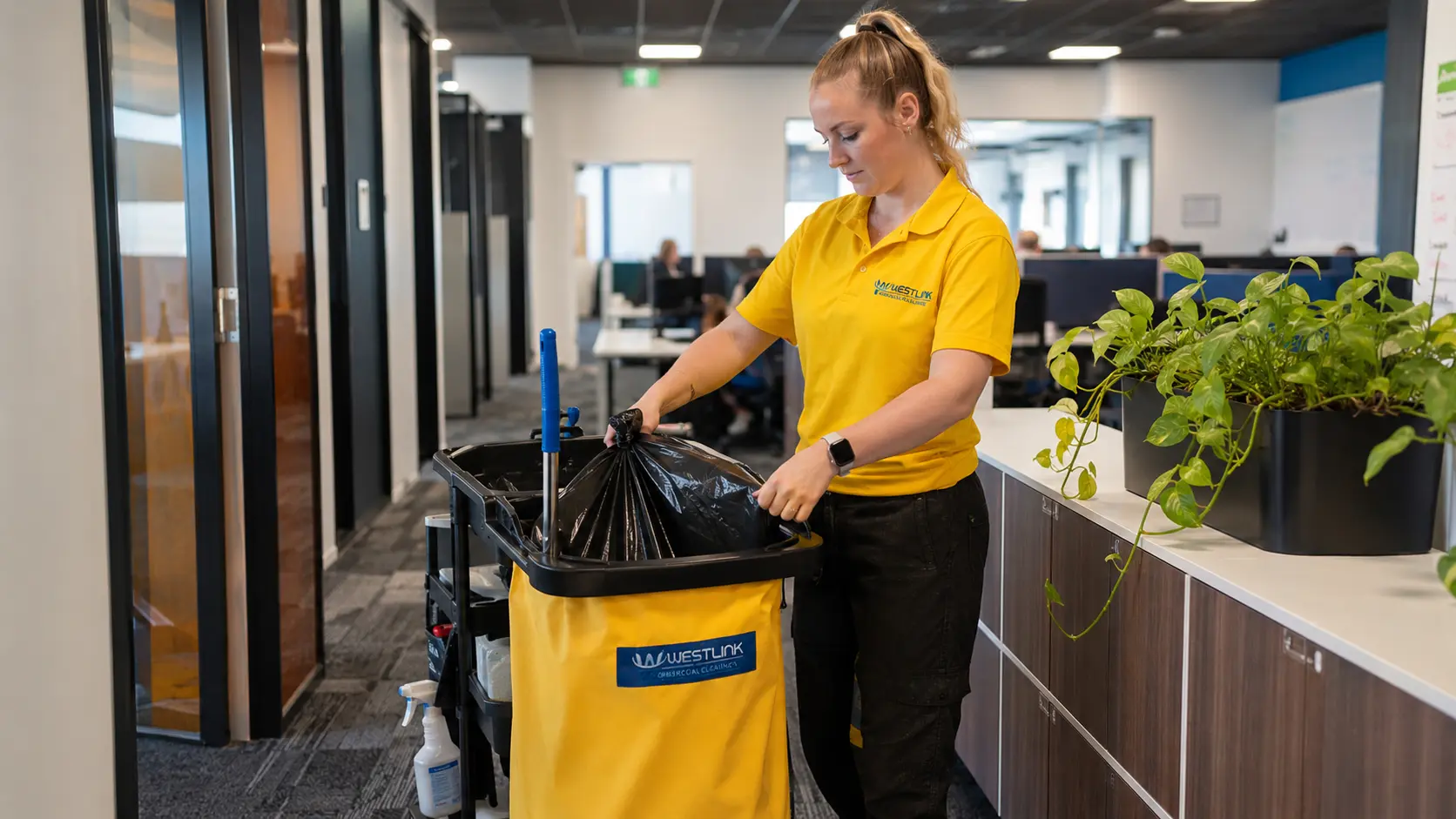 Waste Removal